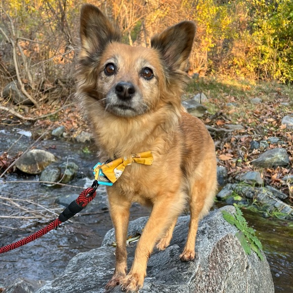 It’s me Nikki! - Picture 3 of 4